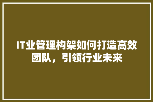 IT业管理构架如何打造高效团队，引领行业未来 项目报告