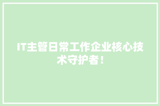 IT主管日常工作企业核心技术守护者！ 后端技术