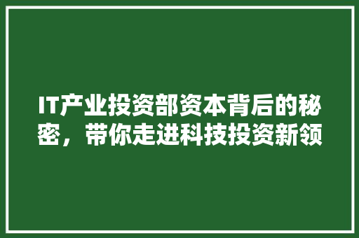 IT产业投资部资本背后的秘密，带你走进科技投资新领域！ 后端技术