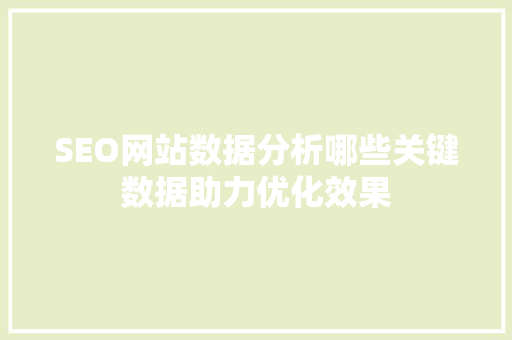 SEO网站数据分析哪些关键数据助力优化效果