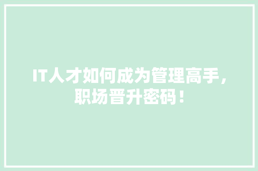 IT人才如何成为管理高手，职场晋升密码！ 项目报告