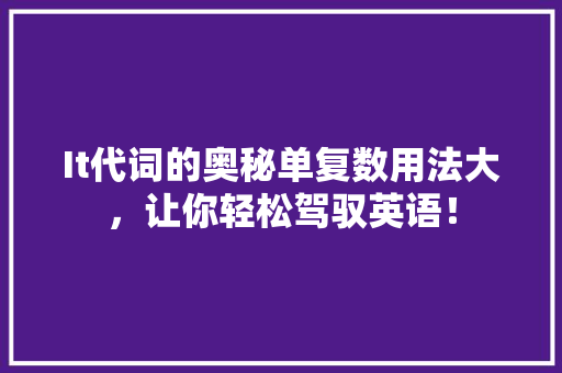 It代词的奥秘单复数用法大，让你轻松驾驭英语！ 市场营销范文