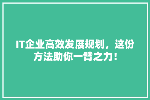 IT企业高效发展规划，这份方法助你一臂之力！ 前端技术