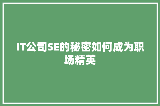 IT公司SE的秘密如何成为职场精英 前端技术