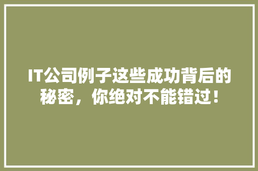 IT公司例子这些成功背后的秘密，你绝对不能错过！