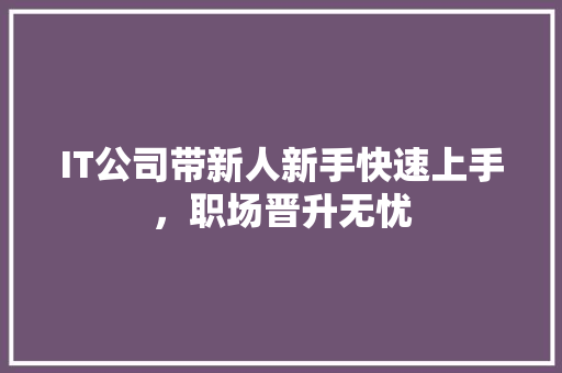 IT公司带新人新手快速上手，职场晋升无忧 网站建设