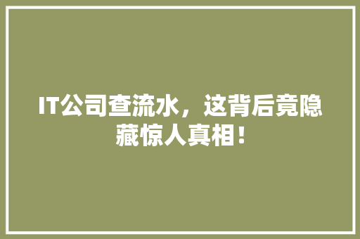 IT公司查流水，这背后竟隐藏惊人真相！ MySQL