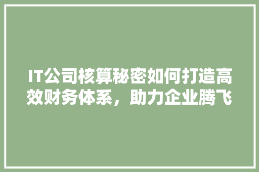 IT公司核算秘密如何打造高效财务体系，助力企业腾飞！ 市场营销范文
