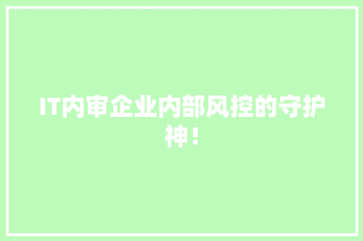 IT内审企业内部风控的守护神！ 项目报告