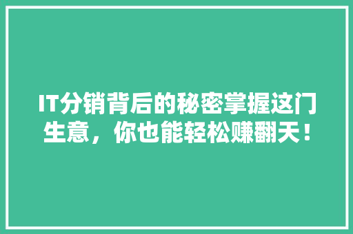 IT分销背后的秘密掌握这门生意，你也能轻松赚翻天！