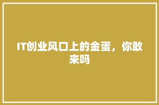 IT创业风口上的金蛋，你敢来吗