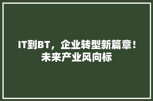 IT到BT，企业转型新篇章！未来产业风向标 网站建设