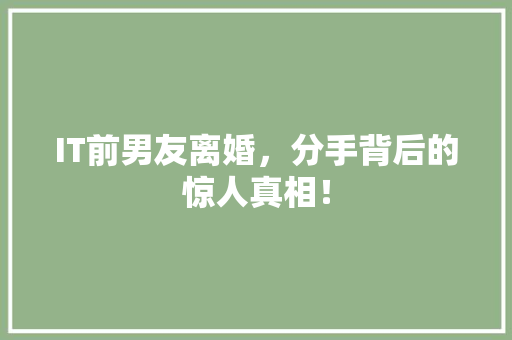 IT前男友离婚，分手背后的惊人真相！ 后端技术