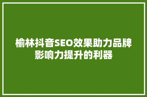榆林抖音SEO效果助力品牌影响力提升的利器