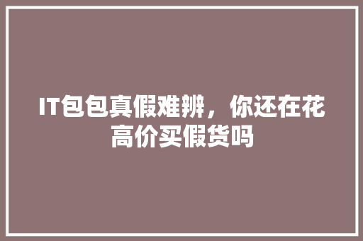 IT包包真假难辨，你还在花高价买假货吗