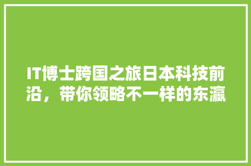 IT博士跨国之旅日本科技前沿，带你领略不一样的东瀛魅力！ 缓存Redis