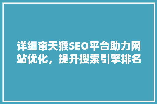 详细窜天猴SEO平台助力网站优化，提升搜索引擎排名