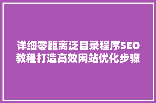 详细零距离泛目录程序SEO教程打造高效网站优化步骤 项目报告