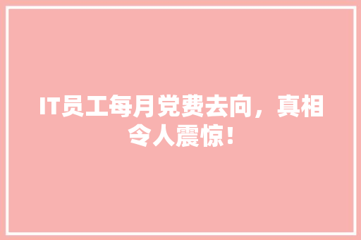 IT员工每月党费去向，真相令人震惊！