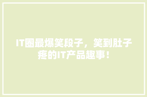 IT圈最爆笑段子，笑到肚子疼的IT产品趣事！ 项目报告