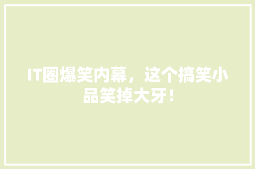 IT圈爆笑内幕，这个搞笑小品笑掉大牙！