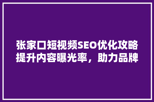 张家口短视频SEO优化攻略提升内容曝光率，助力品牌崛起