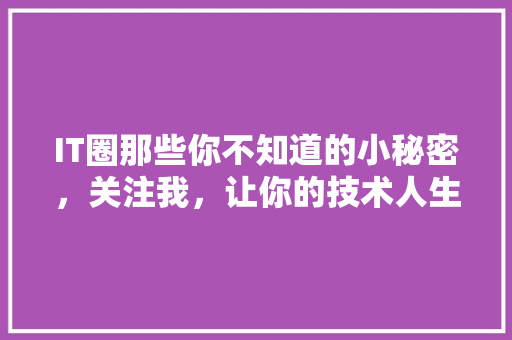 IT圈那些你不知道的小秘密，关注我，让你的技术人生更精彩！ 项目报告