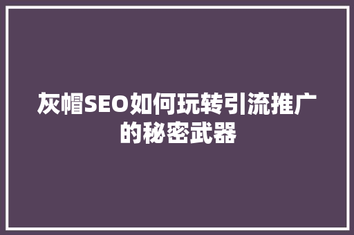 灰帽SEO如何玩转引流推广的秘密武器