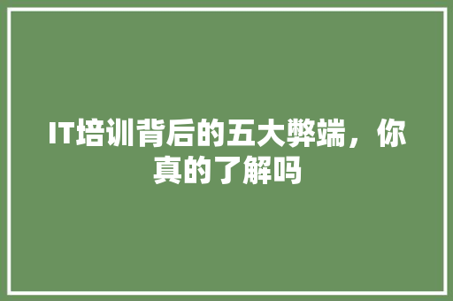 IT培训背后的五大弊端，你真的了解吗 项目报告