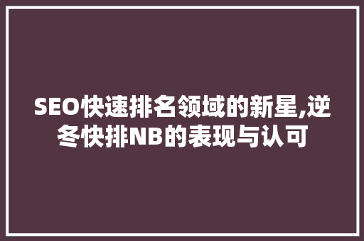 SEO快速排名领域的新星,逆冬快排NB的表现与认可
