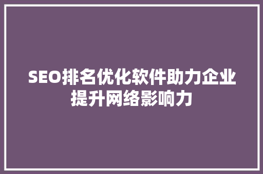 SEO排名优化软件助力企业提升网络影响力