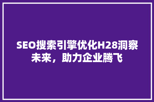 SEO搜索引擎优化H28洞察未来，助力企业腾飞