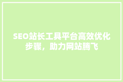 SEO站长工具平台高效优化步骤，助力网站腾飞