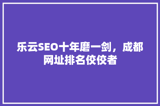 乐云SEO十年磨一剑，成都网址排名佼佼者