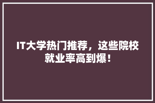 IT大学热门推荐，这些院校就业率高到爆！ MySQL