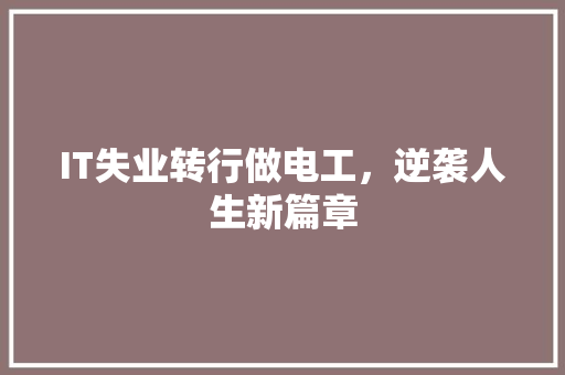 IT失业转行做电工，逆袭人生新篇章 后端技术