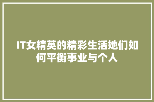 IT女精英的精彩生活她们如何平衡事业与个人 项目报告