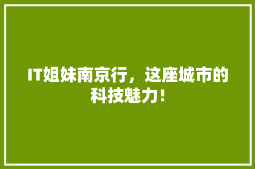 IT姐妹南京行，这座城市的科技魅力！ 响应式设计