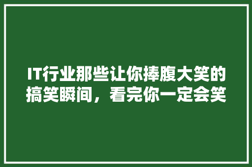 IT行业那些让你捧腹大笑的搞笑瞬间，看完你一定会笑到肚子疼！ 后端技术