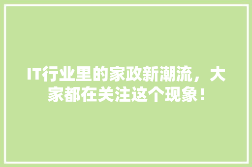 IT行业里的家政新潮流，大家都在关注这个现象！