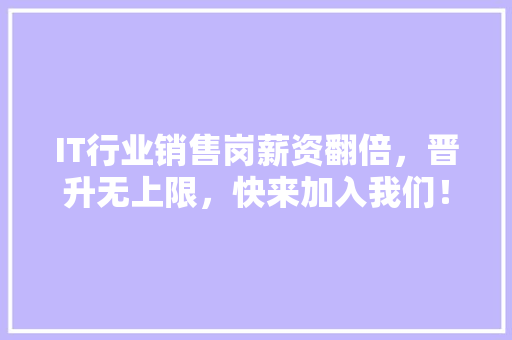 IT行业销售岗薪资翻倍，晋升无上限，快来加入我们！ 响应式设计