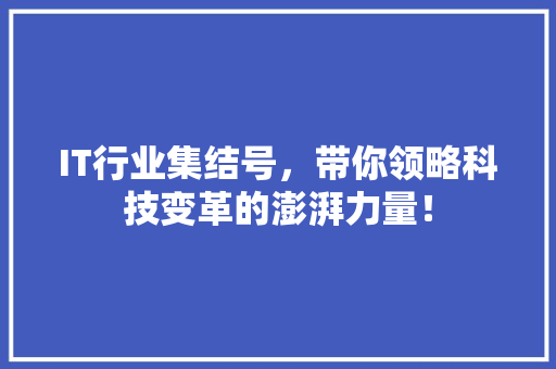 IT行业集结号，带你领略科技变革的澎湃力量！