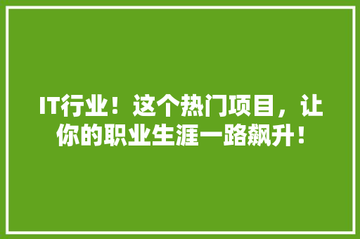 IT行业！这个热门项目，让你的职业生涯一路飙升！ 前端技术