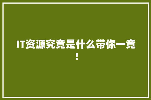 IT资源究竟是什么带你一竟！