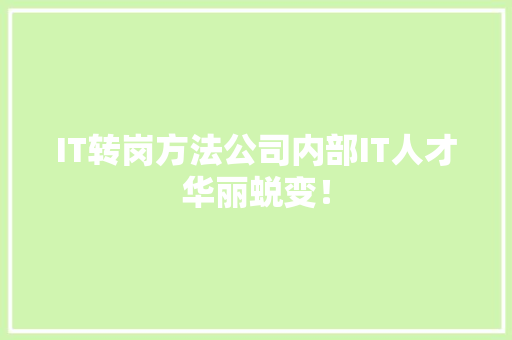 IT转岗方法公司内部IT人才华丽蜕变！ 项目报告