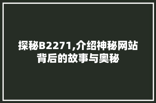 探秘B2271,介绍神秘网站背后的故事与奥秘 响应式设计