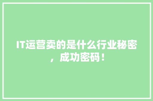 IT运营卖的是什么行业秘密，成功密码！