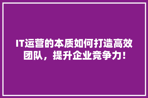IT运营的本质如何打造高效团队，提升企业竞争力！ 网站建设