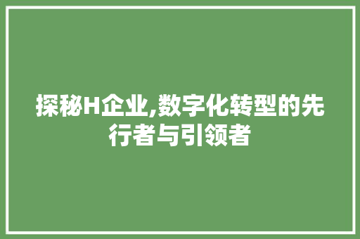 探秘H企业,数字化转型的先行者与引领者 网站建设