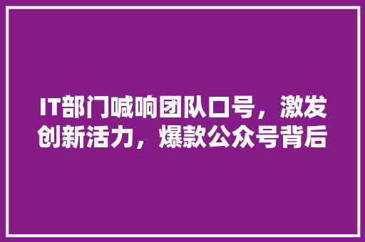 IT部门喊响团队口号，激发创新活力，爆款公众号背后的秘密！